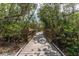 Wooden boardwalk winding through lush, green foliage, offering a peaceful nature walk at 636 Tarawitt Dr, Longboat Key, FL 34228