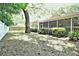 A home's backyard with a screen porch and a lush, green lawn at 1001 Brookside Dr, Clearwater, FL 33764