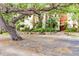 Well-maintained building entrance with vibrant foliage and beautiful mature oak tree at 1012 Pearce Dr # 304, Clearwater, FL 33764