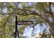 Pinellas Trail signage detail amidst shady oak tree branches along the popular running and biking trail at 1345 Springdale St, Clearwater, FL 33755