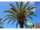 A Florida Trail-Town designation sign with sunny skies and a palm tree; a perfect destination at 1345 Springdale St, Clearwater, FL 33755