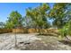 Spacious backyard featuring mature trees and a wooden privacy fence at 1410 San Charles Dr, Dunedin, FL 34698