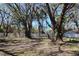 The spacious, grassy backyard is lined with mature trees and a new white fence at 2105 Curry Rd, Lutz, FL 33549