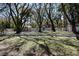 An expansive, grassy backyard is adorned with mature trees, casting dappled shade at 2105 Curry Rd, Lutz, FL 33549
