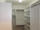 A walk-in closet featuring custom shelving for ample storage at 2105 Curry Rd, Lutz, FL 33549