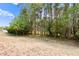 The secluded backyard features lush trees and landscaping that offer privacy at 3321 Mapleridge Dr, Lutz, FL 33558