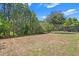 The expansive backyard borders a lush wooded area and features partial fencing at 3321 Mapleridge Dr, Lutz, FL 33558