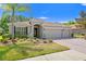 Charming single-story home featuring a three-car garage and beautifully landscaped front yard with a majestic palm tree at 3321 Mapleridge Dr, Lutz, FL 33558