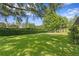 Lush backyard with manicured lawn and mature trees offering shade and privacy for outdoor enjoyment at 1203 Parrilla De Avila, Tampa, FL 33613