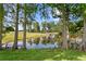 Scenic pond view on the golf course surrounded by trees and lush landscaping at 1203 Parrilla De Avila, Tampa, FL 33613