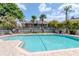 Inviting community pool area with palm trees and lounge chairs for residents' enjoyment at 14053 Notreville Way, Tampa, FL 33624