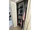 Walk in closet with an organizer, perfect for keeping clothes organized and tidy at 19113 Doves Landing Dr, Tampa, FL 33647