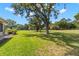Expansive backyard with mature trees, lush green grass, and a view of nature at 20 Iris Pl, Oldsmar, FL 34677