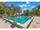 Long outdoor community swimming pool with diving blocks and clear water surrounded by lush greenery at 20 Iris Pl, Oldsmar, FL 34677