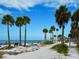 Picturesque beach scene featuring palm trees, white sand, and blue skies for relaxation and fun at 362 Coquina Dr, Tarpon Springs, FL 34689