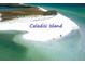 Aerial view of the beach at Caladisi Island with white sand and clear turquoise water at 362 Coquina Dr, Tarpon Springs, FL 34689
