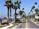 Street view of Dunedin entrance lined with palm trees on both sides of the road on a sunny day at 362 Coquina Dr, Tarpon Springs, FL 34689