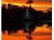 Reflection of a festively lit Christmas tree on the calm lake surface during sunset, adding holiday charm at 3829 Eagleflight Ln, Land O Lakes, FL 34639