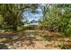 Large backyard area with mature trees offering ample shade, surrounded by a wood fence at 412 E Columbus Dr, Tampa, FL 33602