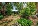 Lush backyard featuring mature trees, a stone paver path, and a tranquil, shaded outdoor living space at 4242 Sheldon Pl, New Port Richey, FL 34652