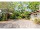 View of the brick driveway leading up to the home surrounded by lush foliage at 549 E Center St, Tarpon Springs, FL 34689