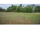 Sprawling parcel of land with lush green grass and mature trees in the background at 7944 Royal Hart Dr, New Port Richey, FL 34653