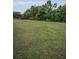 Expansive lot with healthy grass and a backdrop of dense foliage at 7944 Royal Hart Dr, New Port Richey, FL 34653