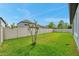 Large grassy backyard enclosed by a white vinyl fence, providing privacy and space for outdoor activities at 12280 Lyon Pine Ln, Odessa, FL 33556