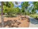 Community playground featuring mature shade trees, wood chip ground cover and a variety of play structures at 12280 Lyon Pine Ln, Odessa, FL 33556