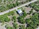 Aerial view of a house with mature landscaping offering privacy and seclusion at 14319 Morristown Ave, Port Charlotte, FL 33981