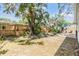 Large grassy backyard with privacy fence and mature trees and landscaping at 201 11Th S Ave, Safety Harbor, FL 34695