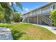 Expansive backyard featuring lush green grass, tropical landscaping, and a view of the inviting pool at 3901 Pompano Se Dr, St Petersburg, FL 33705
