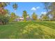 Expansive lush backyard with mature palms and a large screened lanai at 4121 Highland Park Cir, Lutz, FL 33558