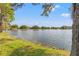 Peaceful lake view from the property, surrounded by lush green grass and trees at 4121 Highland Park Cir, Lutz, FL 33558