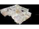 Three-dimensional floor plan showcasing the open layout and design of the home at 5051 Gevalia Dr, Brooksville, FL 34604