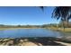 Scenic view of a tranquil lake framed by lush trees and expansive golf course, offering natural beauty at 5051 Gevalia Dr, Brooksville, FL 34604