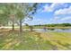 A serene backyard view with lush green grass, trees, and a tranquil pond at 6518 Salt Creek Ave, Apollo Beach, FL 33572