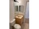Bathroom with toilet and vanity sink with a mirrored medicine cabinet at 11318 Laurel Brook Ct, Riverview, FL 33569