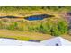 Scenic aerial view capturing a tranquil pond surrounded by lush greenery, adjacent to the property at 17212 Balance Cv, Land O Lakes, FL 34638
