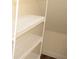 White, wire shelving in the closet offers storage solutions at 17833 Althea Blue Pl, Lutz, FL 33558