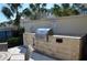 Community grilling area with a stainless steel grill and outdoor seating under the palm trees at 17833 Althea Blue Pl, Lutz, FL 33558