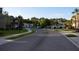 Street view of the neighborhood featuring a tree-lined street with sidewalks and well-maintained lawns at 17833 Althea Blue Pl, Lutz, FL 33558