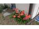 A vibrant flower bed adds curb appeal to the property's exterior at 23059 Geneva Rd, Land O Lakes, FL 34639