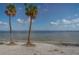 Scenic beach view with two palm trees and a glimpse of the tranquil water at 3011 49Th S Ter, St Petersburg, FL 33712
