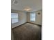 Bedroom featuring carpeted floor, two windows, and a ceiling light at 8273 Artisan Way, Seminole, FL 33777