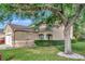 View of the townhome exterior showcasing manicured landscaping, a healthy tree, and a brown roof at 8901 Casablanca Way, Tampa, FL 33626
