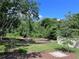 Spacious backyard featuring well-maintained lawn and views of lush trees and brush at 9322 Wellington Park Cir, Tampa, FL 33647