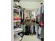 Walk-in closet with shelving and hanging storage for clothing and accessories at 146 Shell Falls Dr, Apollo Beach, FL 33572