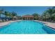 Outdoor community pool surrounded by palm trees and lounge chairs, offering a relaxing atmosphere at 146 Shell Falls Dr, Apollo Beach, FL 33572