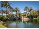 Scenic view of a serene pond with a stone bridge, surrounded by lush palm trees and landscaping at 146 Shell Falls Dr, Apollo Beach, FL 33572
